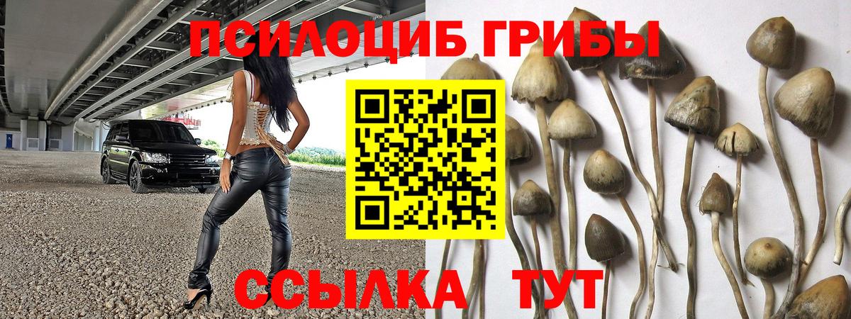Псилоцибиновые грибы прущие грибы Луга